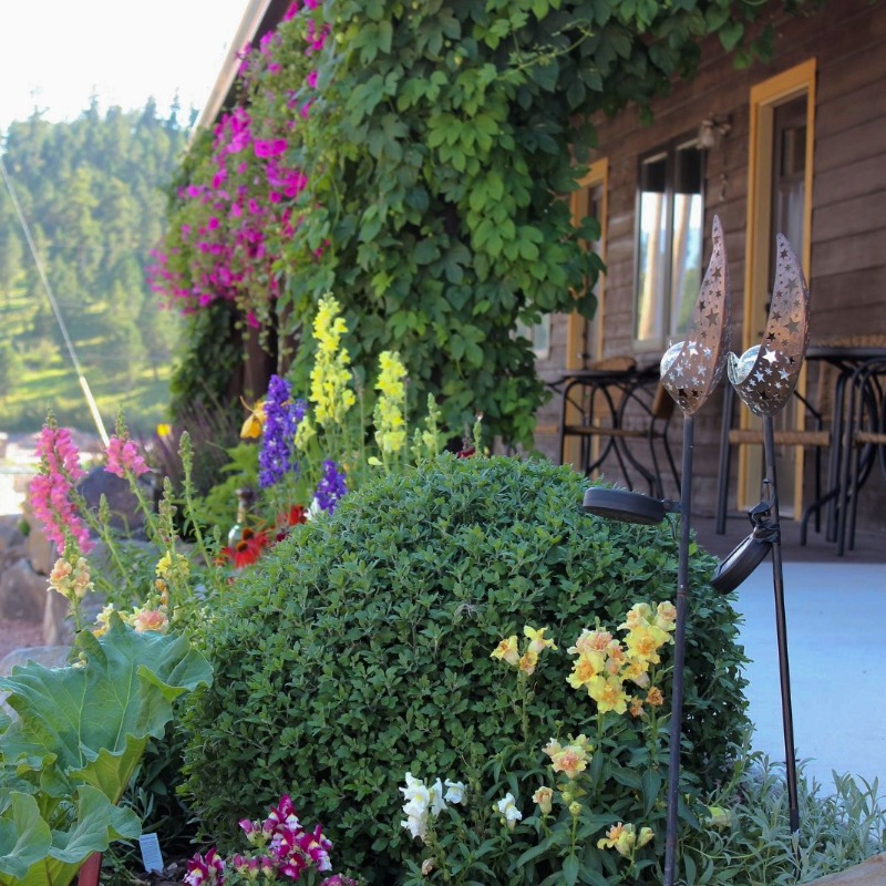 7. Cabin-Porch-Flowers